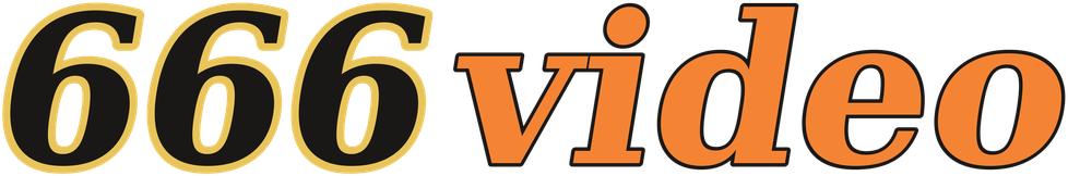 666video logo